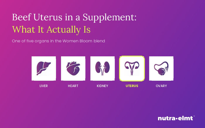 Beef uterus highlighted among the five New Zealand grass-fed organs in the Women Bloom blend: liver, heart, kidney, uterus and ovary