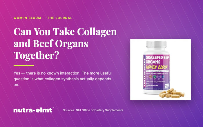 Can you take collagen and beef organs together — Women Bloom Journal cover with the supplement bottle, noting there is no known interaction between the two