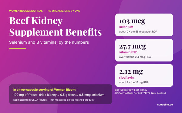 Cover: beef kidney supplement benefits — selenium, B12, riboflavin per 100 g and what 100 mg delivers, Women Bloom Journal