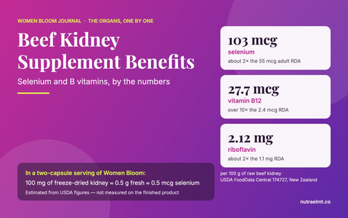 Cover: beef kidney supplement benefits — selenium, B12, riboflavin per 100 g and what 100 mg delivers, Women Bloom Journal