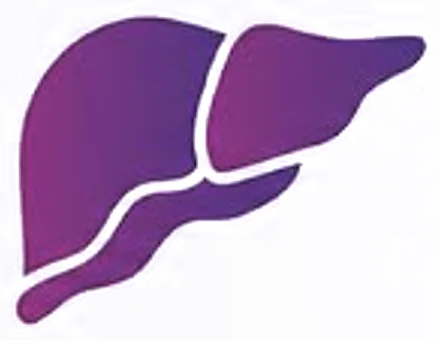 Beef Liver illustration